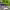 https://res.cloudinary.com/billionhands/image/upload/v1780134350/items/vyy0vfv6j1rdtqlgpuoy.jpg-2cover