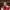 https://res.cloudinary.com/billionhands/image/upload/v1780134649/items/ylc9ho1vm9rtvbvyvfci.avif-2cover