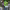 https://res.cloudinary.com/billionhands/image/upload/v1780138005/items/w9tj6tukrmwhr1hsrskm.jpg-2cover