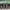 https://res.cloudinary.com/billionhands/image/upload/v1780140931/items/lfrgxvlfg9vu1pn30mir.jpg-0cover