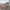 https://res.cloudinary.com/billionhands/image/upload/v1780144148/items/hi4l0t9mpkqwyguvwbg8.webp-1cover