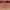https://res.cloudinary.com/billionhands/image/upload/v1780145904/items/exwgxdpcpyzafyvhemb4.jpg-1cover
