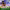 https://res.cloudinary.com/billionhands/image/upload/v1780147881/items/bhbbekwevd8liguemyg8.jpg-2cover