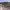 https://res.cloudinary.com/billionhands/image/upload/v1780148821/items/gj9nxlwhx528dbd2lscp.avif-2cover