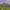 https://res.cloudinary.com/billionhands/image/upload/v1780148832/items/drbmpibcarpgu1yl9uez.jpg-3cover