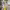 https://res.cloudinary.com/billionhands/image/upload/v1780151878/items/aifcxzlzwwclhbzpg7w3.jpg-0cover