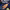 https://res.cloudinary.com/billionhands/image/upload/v1780152219/items/u0nbl3e4rv15xhcatiln.gif-3cover