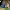 https://res.cloudinary.com/billionhands/image/upload/v1780153246/items/qw74lqucsjvvm0hdau1h.jpg-2cover