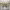 https://res.cloudinary.com/billionhands/image/upload/v1780153498/items/fklexqszj6hdupdtz2iw.webp-2cover