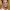 https://res.cloudinary.com/billionhands/image/upload/v1780154454/items/shhy5usnn1qe21hvvdip.jpg-2cover