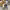 https://res.cloudinary.com/billionhands/image/upload/v1780163097/items/avzbsyci0xscozgqpsma.jpg-0cover