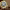 https://res.cloudinary.com/billionhands/image/upload/v1780163459/items/snr5q6cuwolt5imzsbgn.jpg-1cover
