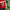 https://res.cloudinary.com/billionhands/image/upload/v1780163639/items/rpajpb5qocpkjzdcz097.jpg-2cover