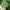 https://res.cloudinary.com/billionhands/image/upload/v1780163640/items/sa5imaeow1ag9fbvdxu5.jpg-2cover