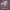 https://res.cloudinary.com/billionhands/image/upload/v1780164354/items/iyfaefo5dvltgu6wkjeg.jpg-1cover