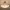 https://res.cloudinary.com/billionhands/image/upload/v1780164361/items/mdib19nofuvslmkaizhs.jpg-0cover