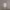 https://res.cloudinary.com/billionhands/image/upload/v1780164363/items/obnbpujdgjaavxwns4ov.jpg-0cover