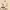 https://res.cloudinary.com/billionhands/image/upload/v1780166596/items/hmcifqqsvnoucobdvsmn.webp-1cover