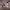https://res.cloudinary.com/billionhands/image/upload/v1780167634/items/wq26xln1vfdlnntxqycb.webp-2cover