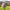 https://res.cloudinary.com/billionhands/image/upload/v1780176640/items/olpm90veecuomwiympbi.jpg-3cover
