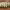 https://res.cloudinary.com/billionhands/image/upload/v1780176939/items/c8aoczg3fqrqbinr7rzl.webp-0cover