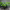 https://res.cloudinary.com/billionhands/image/upload/v1780177555/items/t509mynyzwbhslb2ml0y.webp-2cover