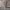 https://res.cloudinary.com/billionhands/image/upload/v1780179522/items/ilupll3tiufvnzcjnoqz.jpg-2cover
