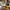 Han Table Barbecue cover