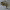 https://res.cloudinary.com/billionhands/image/upload/v1780181500/items/vtlpq5etu3amiefcys19.jpg-2cover