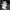 https://res.cloudinary.com/billionhands/image/upload/v1780185212/items/gzmh7cmgnl2jfupvl5v7.jpg-1cover