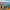 https://res.cloudinary.com/billionhands/image/upload/v1780191203/items/rmbokm3nhupqwpfy9va9.jpg-0cover