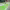 https://res.cloudinary.com/billionhands/image/upload/v1780196953/items/d6zyly8sizpexhygiwff.jpg-3cover
