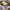 https://res.cloudinary.com/billionhands/image/upload/v1780201813/items/xrmk416qkc6nq5ica9cn.jpg-2cover