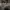 https://res.cloudinary.com/billionhands/image/upload/v1780204110/items/xtx05iynd6uszpcpykhb.jpg-2cover