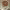 https://res.cloudinary.com/billionhands/image/upload/v1780207034/items/b2zb0drxnmegv8w4hmui.png-2cover