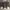 https://res.cloudinary.com/billionhands/image/upload/v1780207175/items/decpfhjnf7qzdzkhqt1h.jpg-2cover