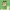 https://res.cloudinary.com/billionhands/image/upload/v1780207961/items/qjulumekt7m9iddutv1f.webp-1cover