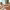 https://res.cloudinary.com/billionhands/image/upload/v1780213930/items/phgzmq0od9d6tafmcqui.webp-0cover