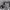 https://res.cloudinary.com/billionhands/image/upload/v1780213938/items/hthcdppxnywxyzgsyser.webp-1cover