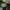 https://res.cloudinary.com/billionhands/image/upload/v1780213949/items/fbavgimmivan4k7r5eu0.webp-2cover