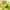 https://res.cloudinary.com/billionhands/image/upload/v1780215759/items/aqbewkxpatcuf6yddo2d.jpg-0cover