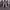 https://res.cloudinary.com/billionhands/image/upload/v1780219115/items/gecot6y7jvwupsglubxh.jpg-2cover