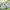https://res.cloudinary.com/billionhands/image/upload/v1780219117/items/ima4inbbr5mz191s4lwd.webp-0cover