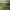 https://res.cloudinary.com/billionhands/image/upload/v1780219245/items/qtaxr51et95lica70lix.webp-0cover