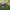 https://res.cloudinary.com/billionhands/image/upload/v1780221768/items/f3bampalpfyossu9llnq.jpg-0cover