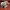 https://res.cloudinary.com/billionhands/image/upload/v1780223200/items/em816voirfoazunrsla4.webp-1cover