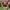 https://res.cloudinary.com/billionhands/image/upload/v1780223253/items/haamjfcj94xjlo3roucs.webp-0cover