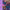 https://res.cloudinary.com/billionhands/image/upload/v1780225606/items/r4zpdayrpf7vjk1l2une.webp-2cover