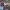 https://res.cloudinary.com/billionhands/image/upload/v1780227284/items/le1d1drxpsyhpu9eoax8.png-2cover