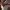 https://res.cloudinary.com/billionhands/image/upload/v1780230190/items/ssphukvtgy4potn9nhqv.webp-3cover